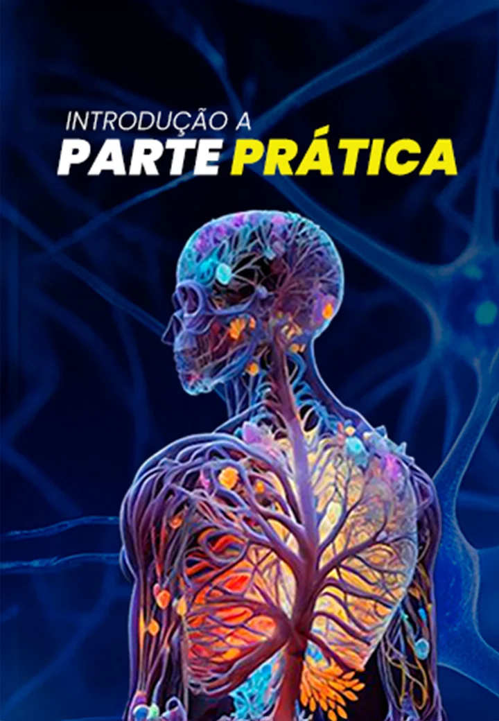 CAPAS_03