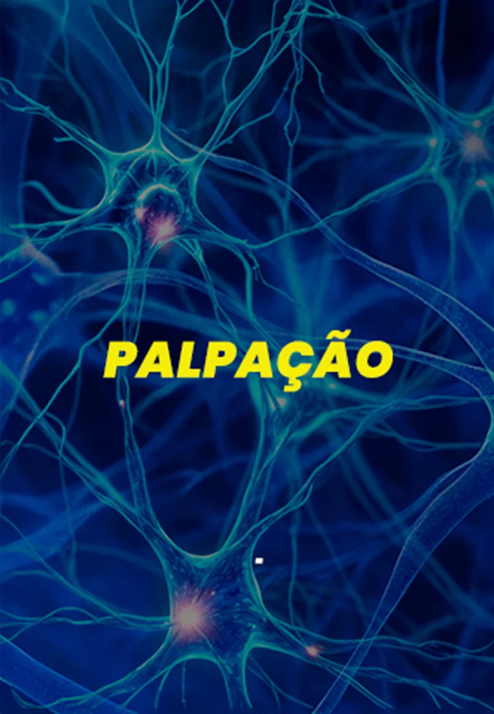 CAPAS_04